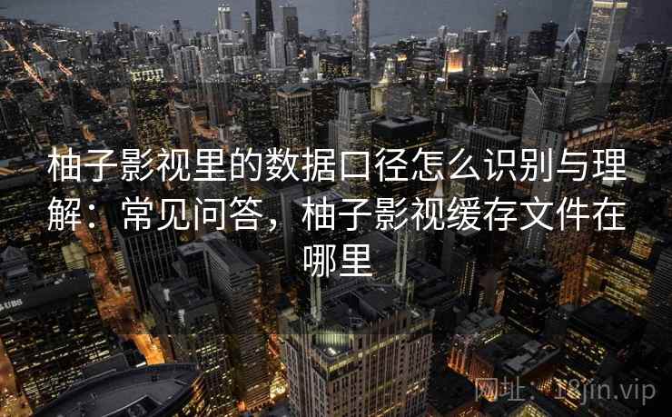 柚子影视里的数据口径怎么识别与理解：常见问答，柚子影视缓存文件在哪里