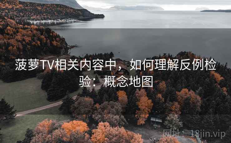 菠萝TV相关内容中，如何理解反例检验：概念地图
