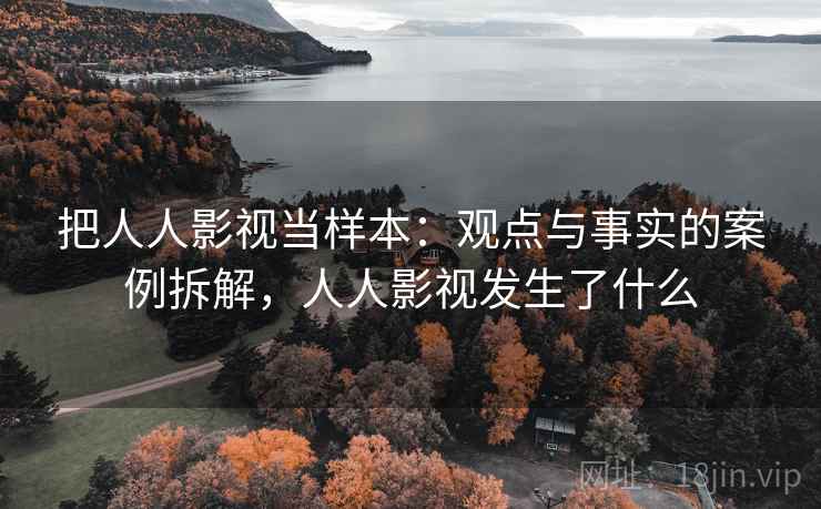 把人人影视当样本：观点与事实的案例拆解，人人影视发生了什么