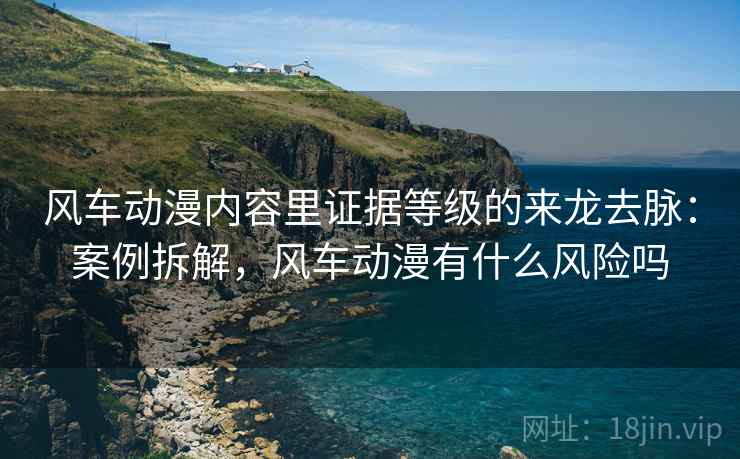 风车动漫内容里证据等级的来龙去脉：案例拆解，风车动漫有什么风险吗