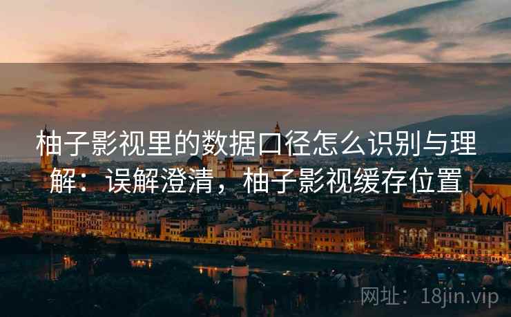 柚子影视里的数据口径怎么识别与理解:误解澄清,柚子影视缓存位置 柚子影视里的数据口径怎么识别与理解:误解澄清,柚子影视缓存位置