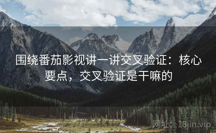 围绕番茄影视讲一讲交叉验证：核心要点，交叉验证是干嘛的